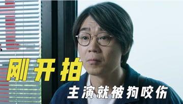 娱乐吃瓜君视频怎么做,揭秘娱乐吃瓜君视频制作背后的秘密