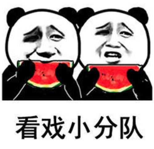 吃瓜娱乐照片图片,吃瓜照片背后的故事